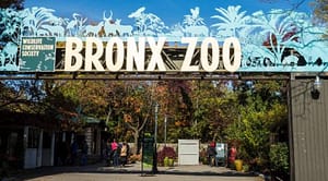 The Bronx Zoo Entrance